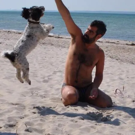 Schwede Apartament Surendorf