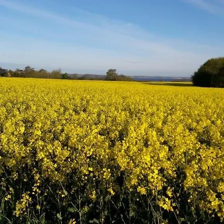 Schwede Surendorf