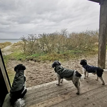 Appartamento Schwede Surendorf