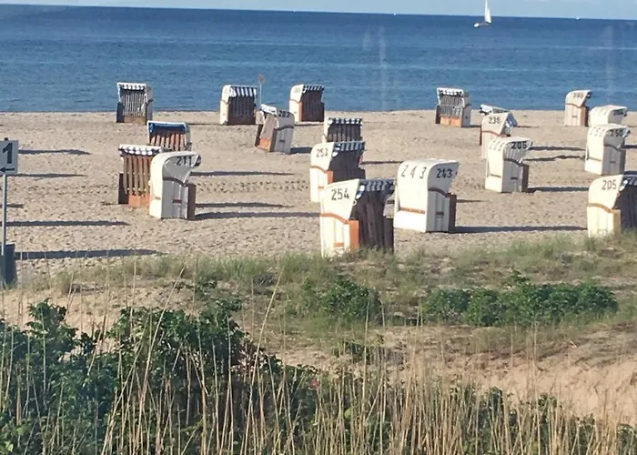 Schwede